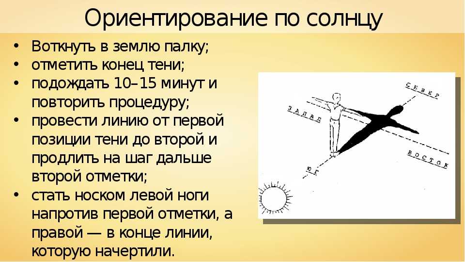 Ориентирование по солнцу 2 класс. Способы ориентирования на местности по солнцу. 3 Способа ориентирования по солнцу. Ориентирование по солнцу ОБЖ. Ориентирование на местности по солнцу 6 класс.