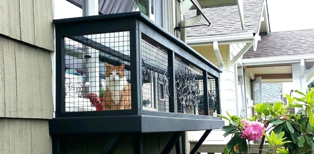 Балкон для кошек купить. Клетка для кота на балкон. Вольер антикошка. Съемный вольер антикошка. Балкон для кошек.