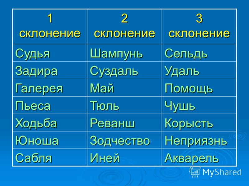 Жюри какой род. Просклонять слово тюль по падежам. Склонение слова судья. Шампунь просклонять по падежам. Тюль падежи.