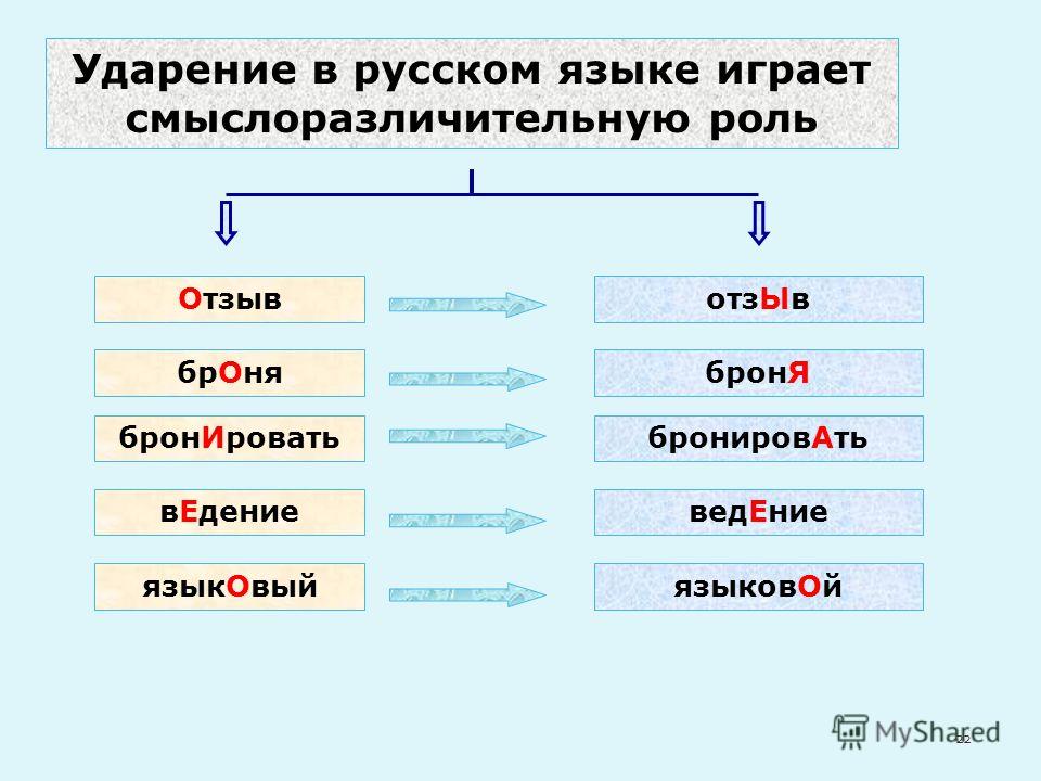 Поставить ударение языковый факт. Смыслоразличительная роль ударения. Функции ударения в русском языке. Броня ударение.