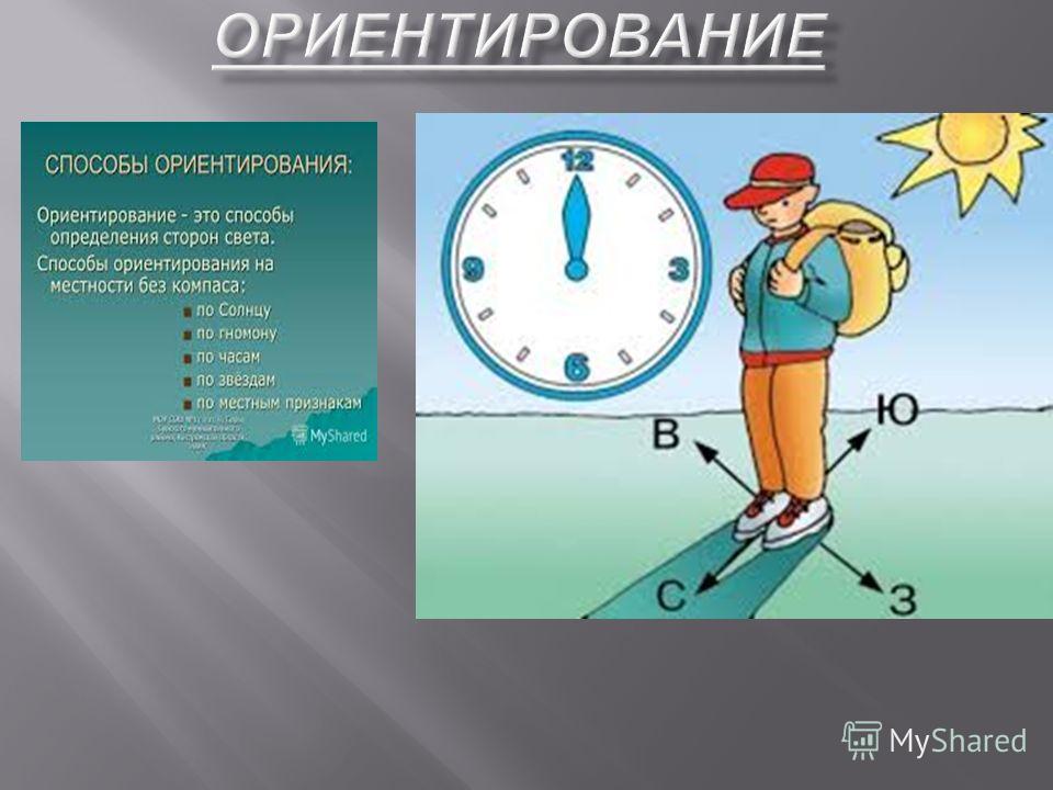 Ориентирование по солнцу 2 класс. Стороны света ориентирование. Ориентирование по сторонам света. Ориентирование на местности по компасу. Способы определения сторон света.