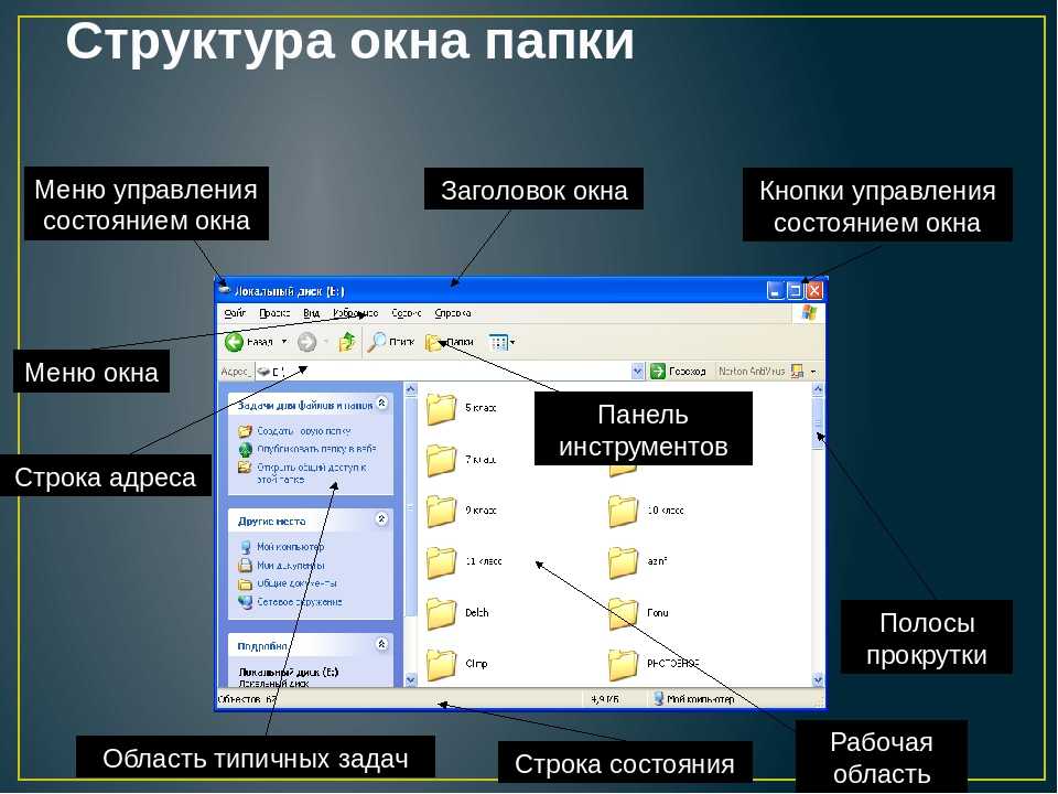 Файлы содержащие информацию пользователя. Окно папки. Название элементов окна папки. Структура окна папки. Структура окна Windows.