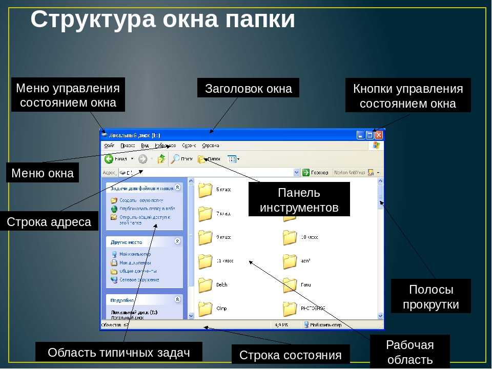 Окно значение. Графический Интерфейс папки виндовс. Из чего состоит окно Windows. Графический Интерфейс операционной системы элементы окна папки. Элементы управления виндовс.