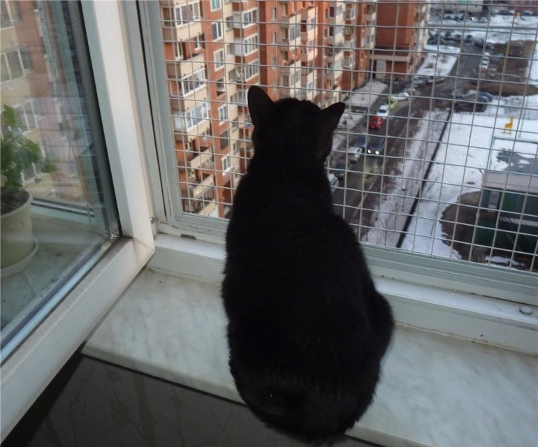 Сетка на окно для кошек антикошка купить. Сетка антикошка. Клетка антикошка. Антикошка на окна. Решетки антикошка на окна.