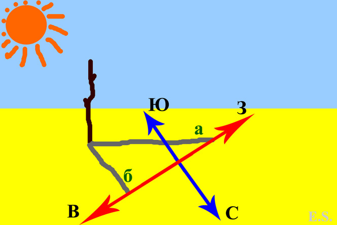 Отметить верхний. Ориентирование по тени от солнца. Стороны света по тени. Ориентирование по солнцу и тени. Определение сторон света по тени.