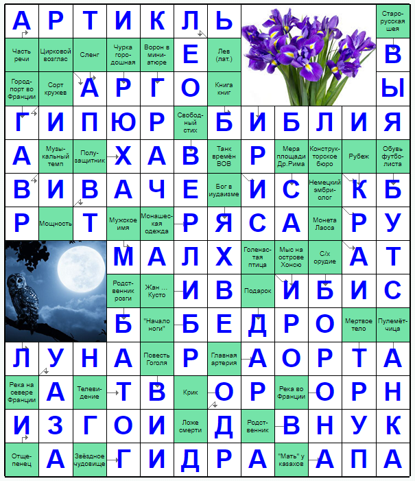 Цветок 6 букв сканворд. Садовый цветок 6 букв сканворд. Растения 6 букв сканворд.